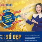 Nâng cấp hệ thống CoreBanking đáp ứng yêu cầu quản lý dịch vụ Tài Khoản thanh toán số đẹp cho khách hàng Ngân Hàng Hợp Tác Xã Việt Nam Co-opBank.